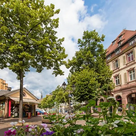 Le Griffon Colmar